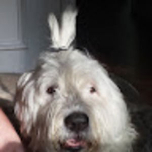 Meet your Posher, Denise